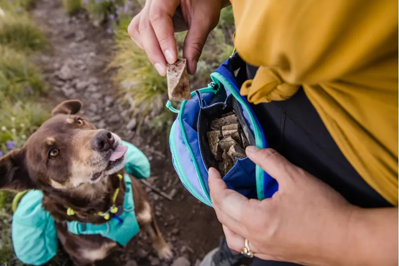 Ruffwear Home Trail Hip Pack Heliotrope Purple-6
